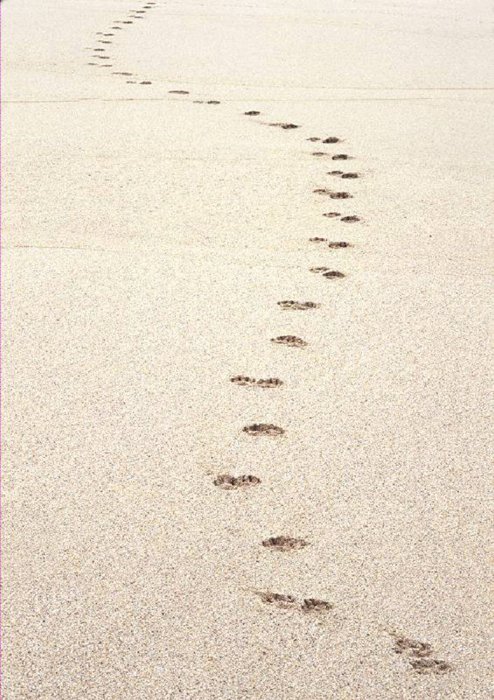 Tracks in the Sand