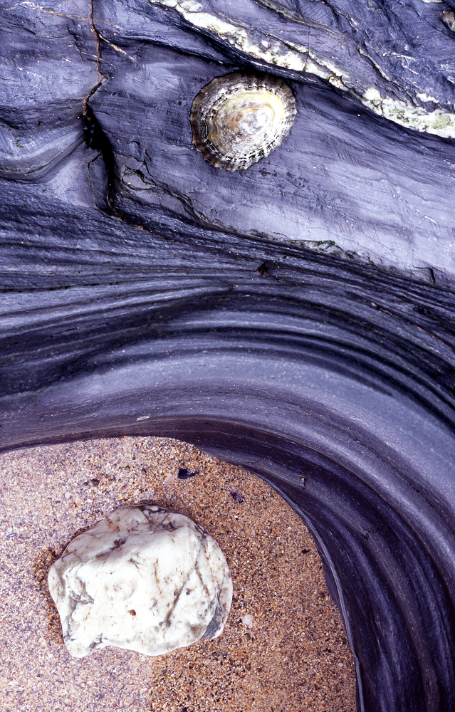 Limpet and Quartz