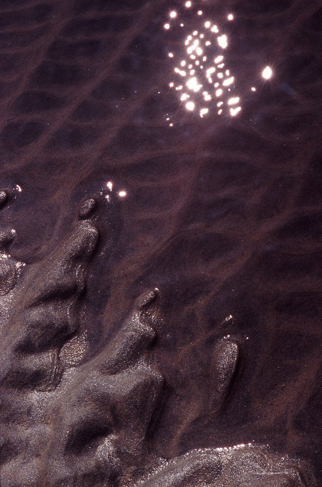 Even the tinies pools in the sand can be a interesting in an abstract way.