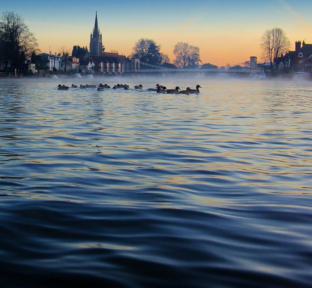 I was prostrate on the frosty, bird-dropping covered tow-path with the camera held out over the river.