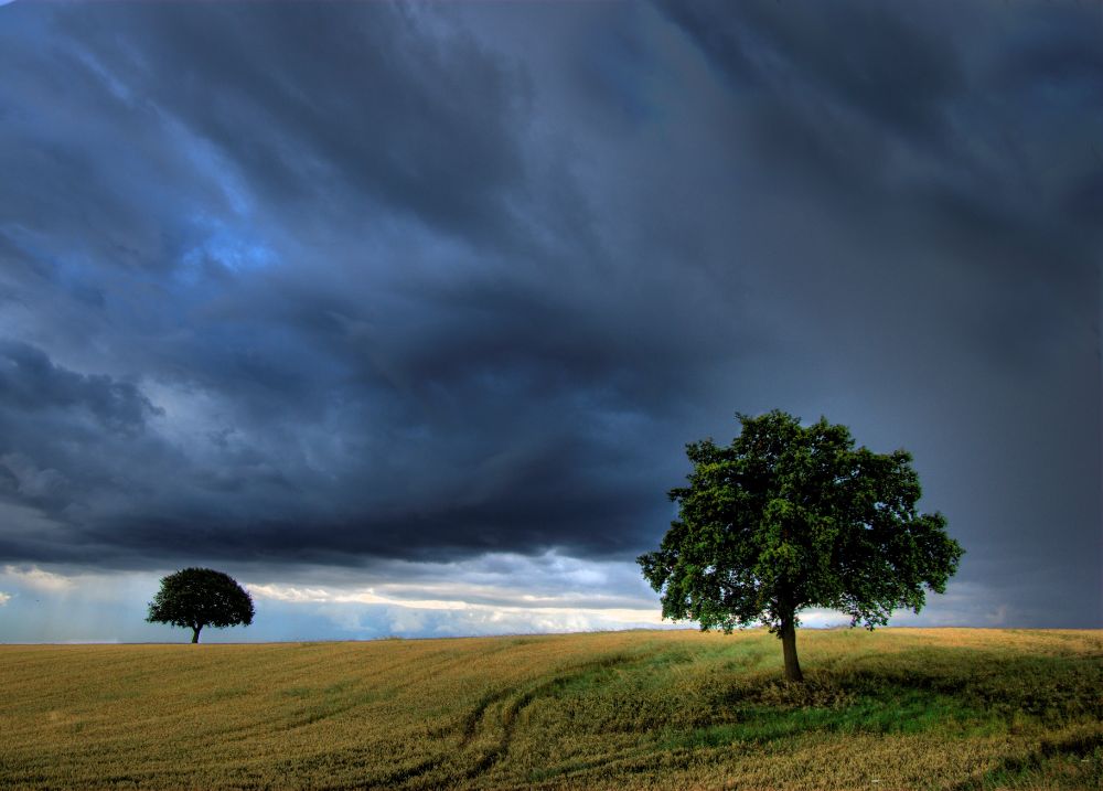 This image got me into trouble with my wife. She was 8 months pregnant with our son and my phone ran out of charge when I saw this phenomenally moody sky over my tree on the way home. I just had to go and photograph it but couldn't let my wife know where I was; she was not pleased, but the images were were it!