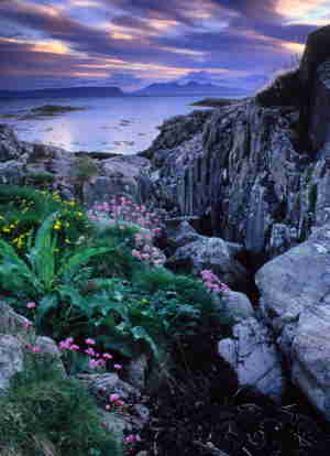 photo of rocky channel to sea