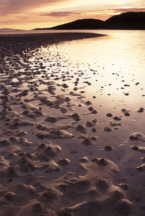 photo of worm casts at Morar