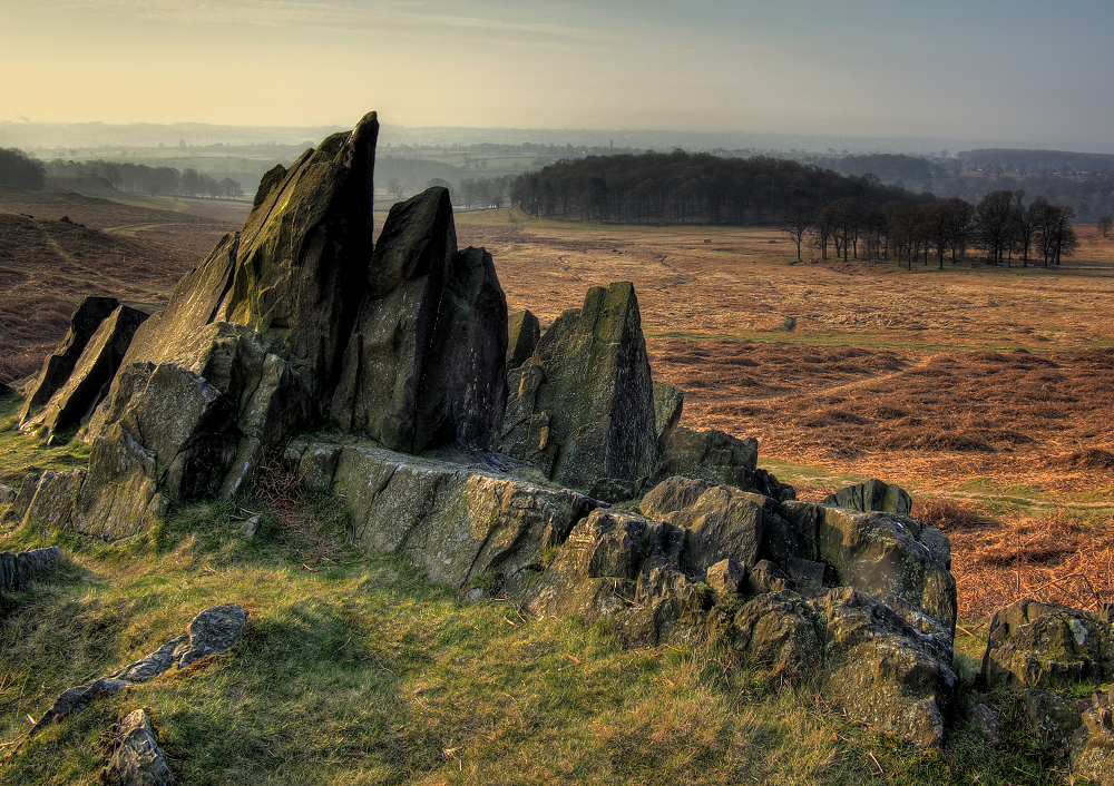 Near 'Old John' in Bradgate Park