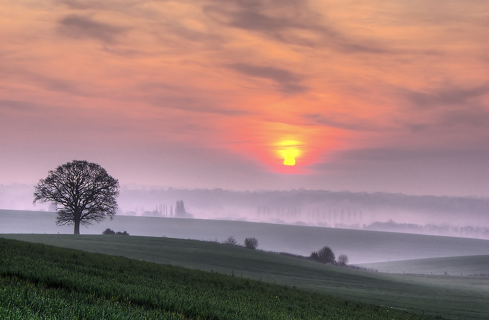 I loved the pastel colours in this glorious sunrise that reminded me of J.M.W.Turner's palette.